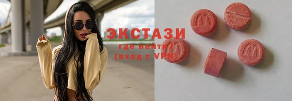 индика Гусиноозёрск