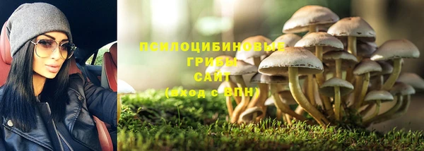 спайс Абинск